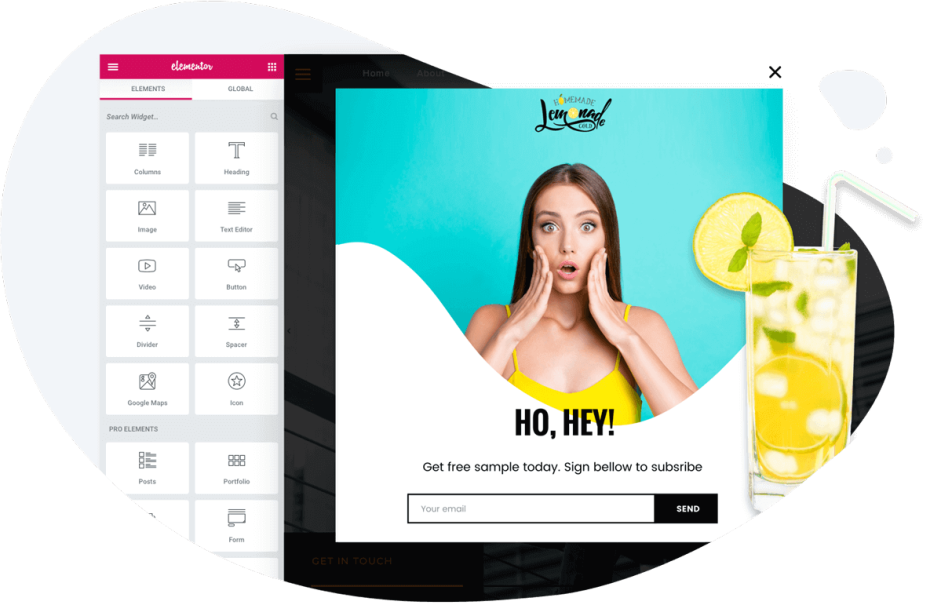 elementor_pro_image