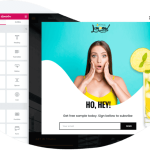 Elementor Pro